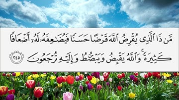القرآن الكريم سورة البقرة من ذا الذي يقرض الله قرضا حسنًا ترتيل القارئ الشيخ عبد الباسط عبد الصمد