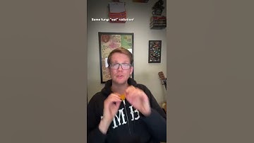 These fungi eat radiation. #shorts #science