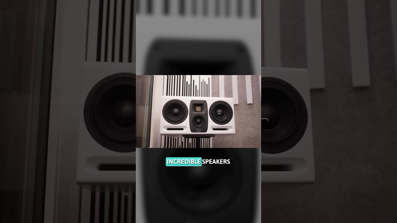 This is HEDD TYPE MK2, K-391 have used this speakers for most of songs