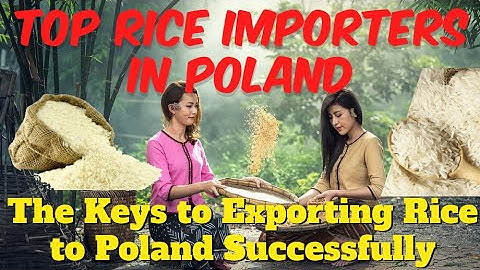 Top Rice Importers in Poland: The Keys to Exporting Rice to Poland Successfully.
