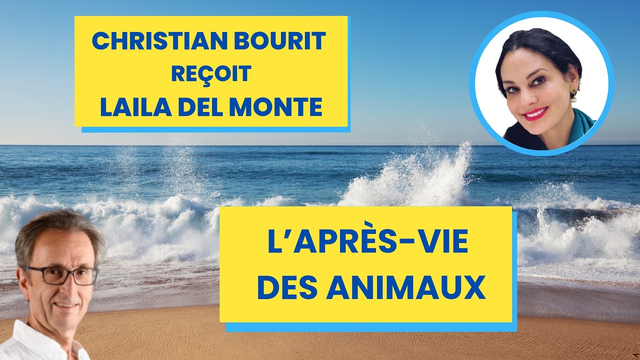 Laila Del Monte : L’après-vie des animaux