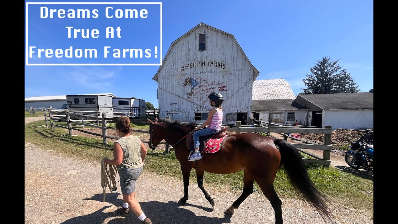 Dreams Come True (And Drones Crash Too!)