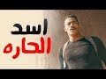 مهرجانات 2019 مهرجان اسد الحاره 2019 تيم المزيكاتيه اجدد مهرجانات 2019 مهرجانات 2019 مهرجان اسد الحاره 2019 تيم المزيكاتيه اجدد مهرجانات 2019