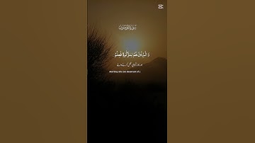 سورة المؤمنون #المصحف #اكسبلور #دويتو #لايك #متابعه