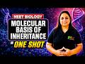 MOLECULAR BASIS OF INHERITANCE | UNIT 6 | NEET BIOLOGY 2026