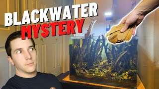 The Blackwater Aquarium Mystery... Help If You Can!