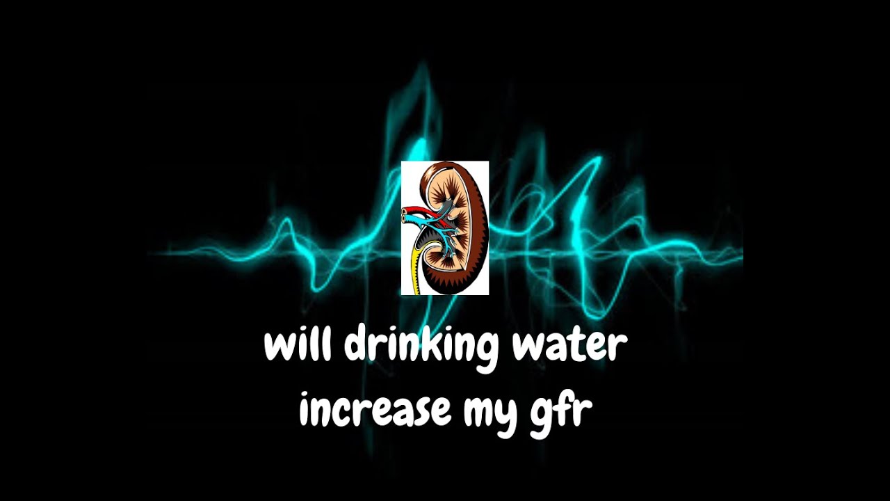Will Drinking Water Increase My Gfr YouTube