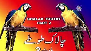 Iftkhar Thakur #mastan#stageshow#ifthar #shahi mahal