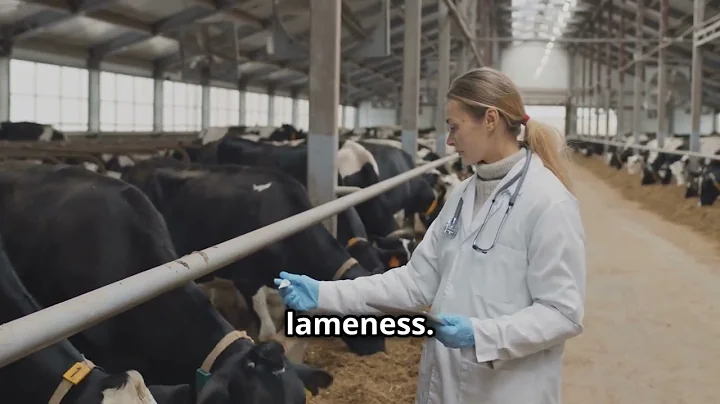 "Unveiling the Truth: rBGH in Milk—What You Need to Know!"