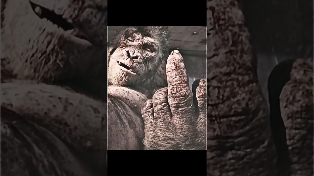 Dwayne Johnson and Kong Funny Scenes | Movie Rampage | 