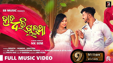 HATA DHARI CHALUTHA | ODIA ALBUM | BINAYA & JASMINE | HUMANE SAGAR & SITAL KABI | NK SEM | SB MUSIC