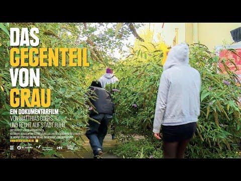 DAS GEGENTEIL VON GRAU Trailer