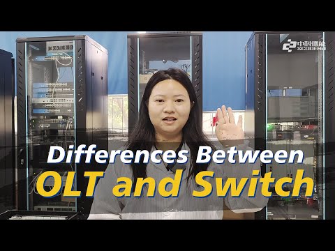 Differences Between OLT and Switch