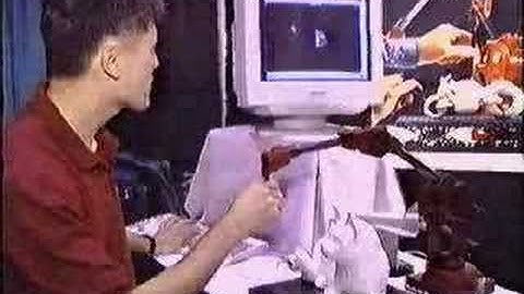 Original Microscribe 3D