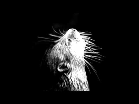 Simple Video