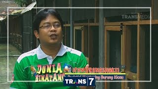 DUNIA BINATANG - GURU VOKAL BURUNG KICAU (22/8/16) 3-2