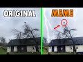 Screaming Chicken On Tree Original VS Meme Screaming Chicken On A Tree Original Screaming Chicken On Tree Original VS Meme Screaming Chicken On A Tree Original