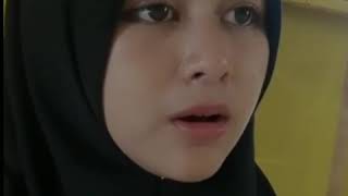 story wa sholawat syaikhona