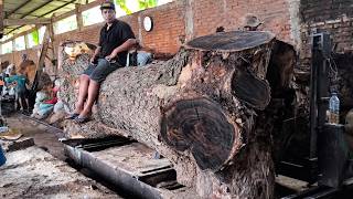 Massive Trembesi Log Turned Into Premium Lumber | Sawmill Processing Like Never Before