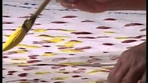 2005 Jharna Kala Painting in China