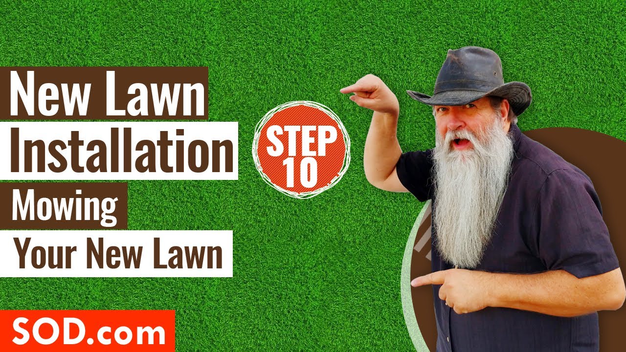 New Lawn Installation Step 10 : Mowing Your New Lawn - sod.com
