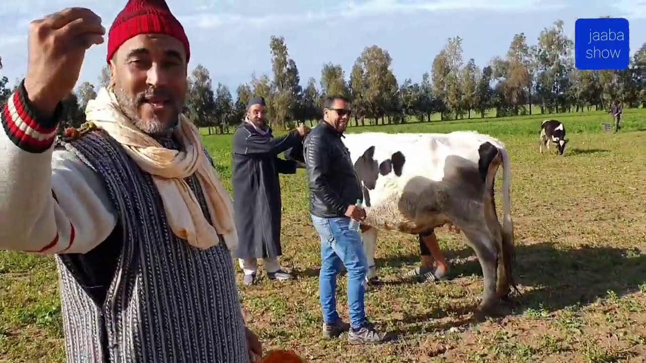 جعبة حقق امنية ديال حسن داه يحلب بقرة🐂🐂🐂