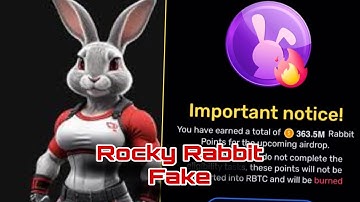 Rocky rabbit ton wallet connect | Rocky Rabbit Airdrop 22 September
