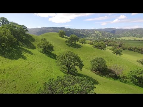 Casino video tour - john bain write-shoot-edit 8/20
