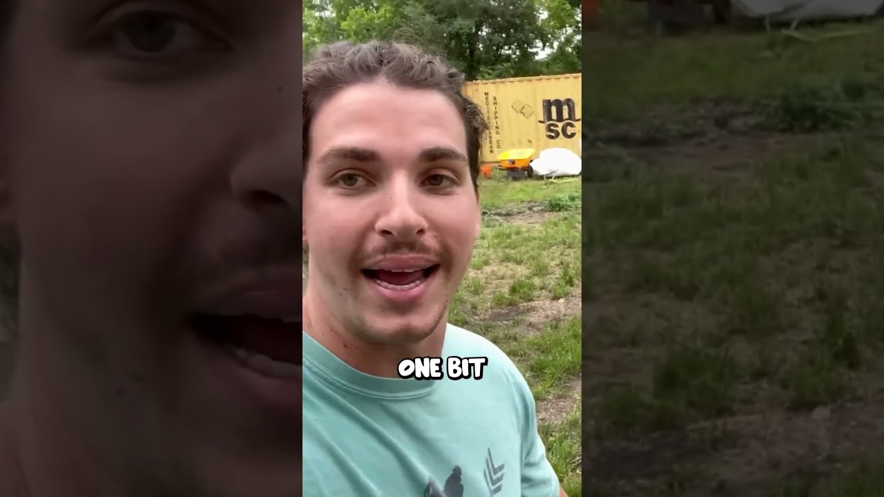 Prairie dog ATTACKS me!