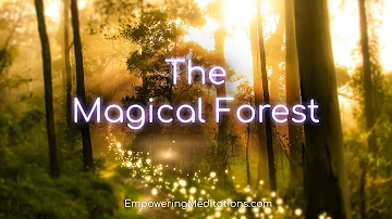 The Magical Forest - Guided Meditation Visualization For Deep Relaxation & De-Stressing