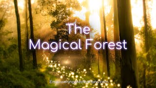 The Magical Forest - Guided Meditation Visualization For Deep Relaxation & De-Stressing screenshot 5