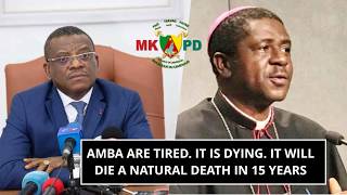 AMBA ARE TIRED – IT WILL DIE A NATURAL DEATH WITHIN 15 YEARS, EVEN IF WE DO NOTHING.