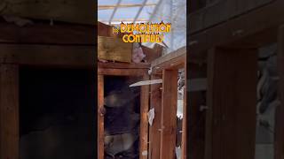 Garage Conversion Demolition Continues 🔨 | Removing Existing Wall Framing #aduconstruction #adus