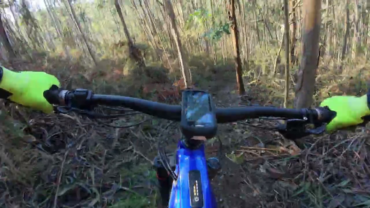 Volta curta por Felgueiras ⚡️⛰️🚲 4k - Giant Reign E+ 3 #emtb #dji #djiosmoaction5pro