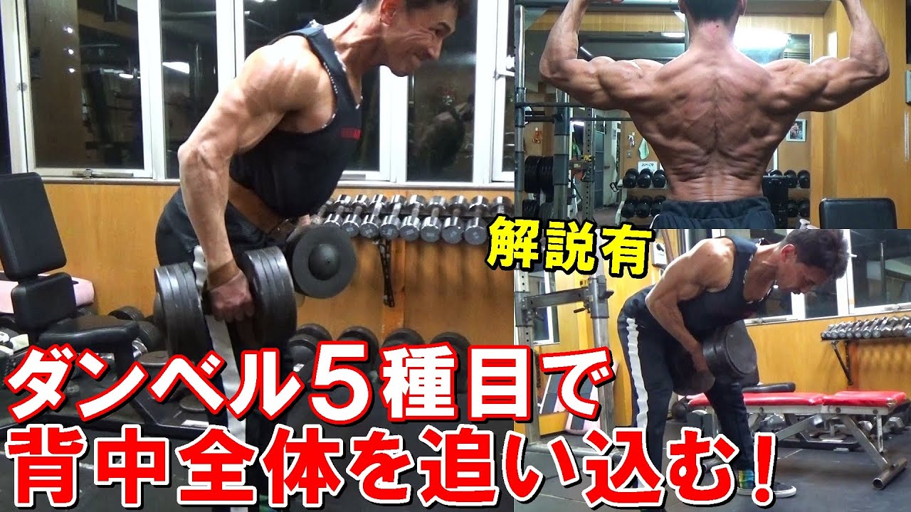 【筋トレ】ダンベルだけで背中全体を鍛える！5種目で広背筋や僧帽筋を追い込むトレーニング【解説有】