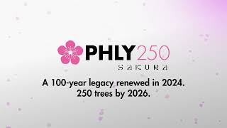 A Blooming Legacy - 250 Cherry Blossom Trees by 2026 | PHLY250Sakura | Philadelphia Insurance