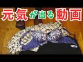 コンサートに行ってきたよコーデ