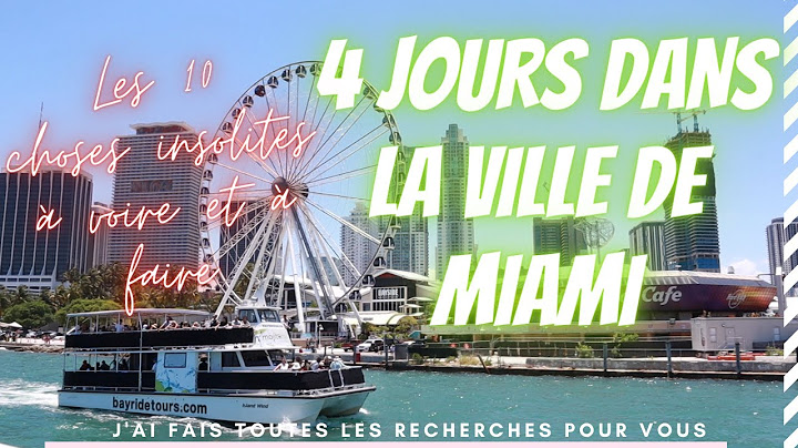 LES 10 CHOSES INSOLITES À VOIRE ET À FAIRE EN 4 JOURS DANS LA VILLE MAGIQUE DE MIAMI, FLORIDE🌴🇫🇷 🇺🇸