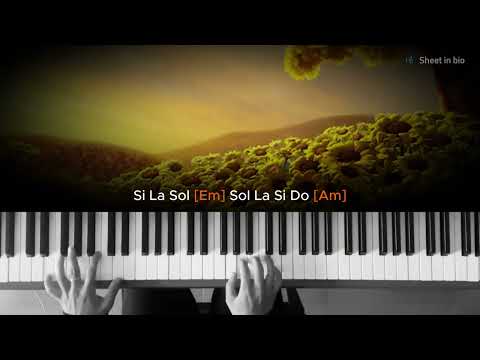 Đồi Hoa Mặt Trời - TDK Piano