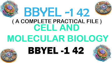 BBYEL 142 IGNOU EXP BSCG | IGNOU  | IGNOU PRACTICAL FILE  | BOTANY | Cell and Molecular Biology PRAC