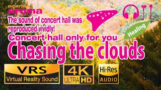 3D🎧 Ocarina aroma-Chasing the clouds-4K Relaxing Video Virtual Reality and 24bit 96khz Sound