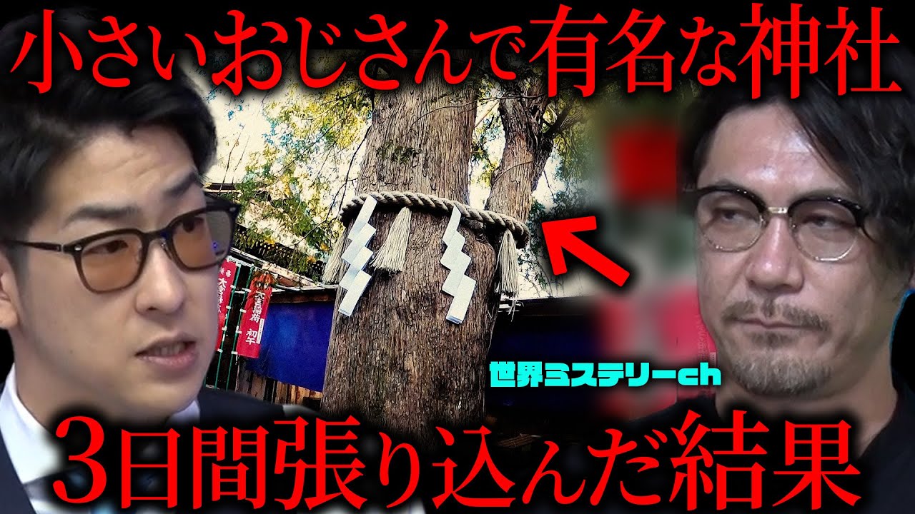 【目撃証言!】小さなオジサン妖精の存在をあなたは信じますか?［世界ミステリーch］