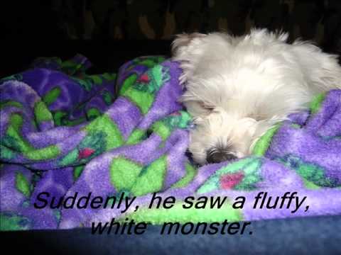 Photo Story 3 sample movie - YouTube
