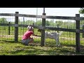 Highlight | Iowa Farm Sanctuary