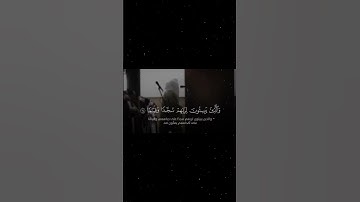 سورة الفرقان - الشيخ أ.د. ياسر الدوسري