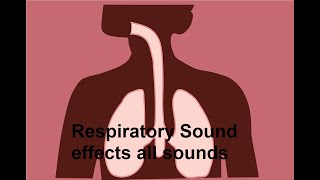 Respiratory Sound effects all sounds