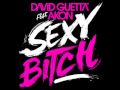 Akon e David Guetta sex bitch