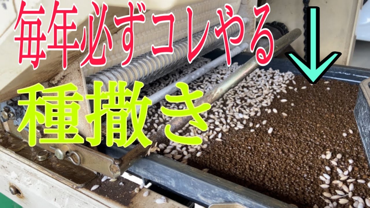 雨の中の種蒔き