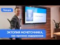 Патологии мочеточников в докладе Алексея Саса на IV Всебелорусском ветеринарном конгрессе