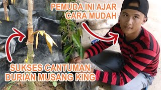 Cara Sisip Cantuman Mata Tunas Durian Musang King (2 Minit Siap)